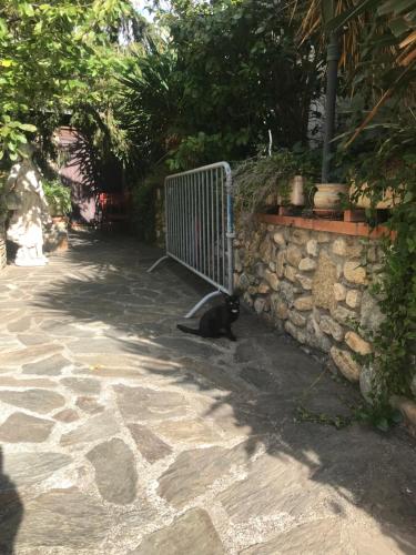 a black cat sitting next to a stone wall at Hébergements à La Rive, Accueil ouvert tous les jours jusqu'à 20h00 dernier délai, depuis 30 ans ! Réserver ici svp ! Merci ! Aucun règlement à distance accepté, Paiement par CB, Espèces, Chèque ou Chèques-Vacances impérativement à la remise des clefs ! in Amélie-les-Bains-Palalda