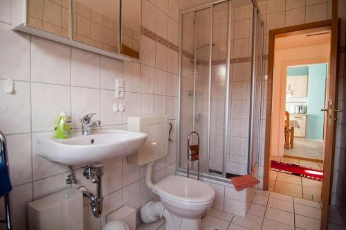 a bathroom with a toilet and a sink and a shower at Ferienwohnung Schwudke Wohnung 63 in Gartow