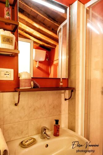 a bathroom with a sink and a mirror at La Mi Casina Toscana in Palaia
