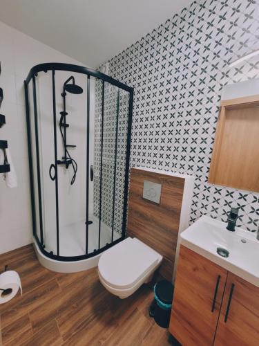 a bathroom with a shower with a toilet and a sink at Daglezja in Przyborów