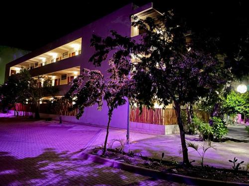 budynek z fioletowymi światłami przed drzewem w obiekcie Niik Tulum w mieście Tulum