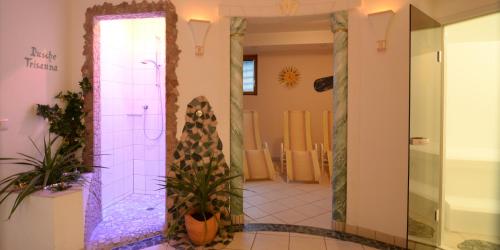 a bathroom with a walk in shower and a mirror at Hotel Garni Dias in Kappl