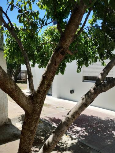 Departamento de La Tata – Photos 3