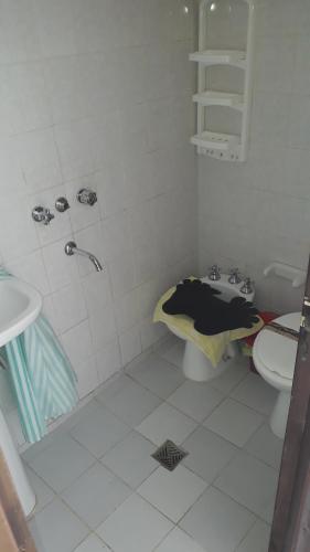 y baño con lavabo, ducha y aseo. en EL ZAGUAN ANEXO I en Cafayate