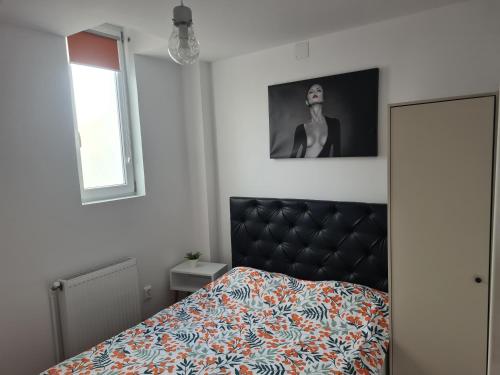 una camera con un letto e una foto appesa al muro di Luxury Apartment Mall Area a Bacău