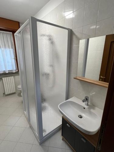 een badkamer met een douche en een wastafel bij Vicino al centro in Novara