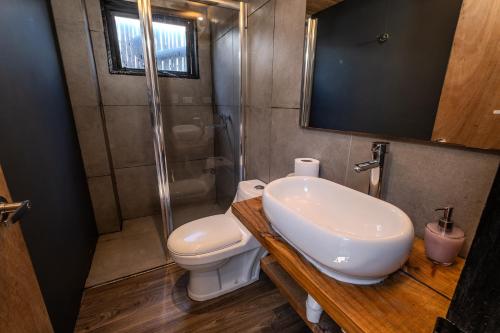 a bathroom with a toilet and a sink and a shower at Quadro Matanzas cabañas in Matanzas