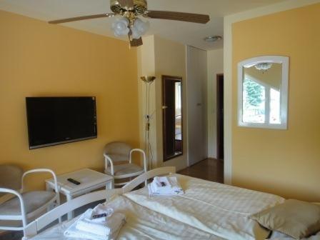 1 dormitorio con 1 cama y TV de pantalla plana en Hotel Monaco, en Náměšť nad Oslavou