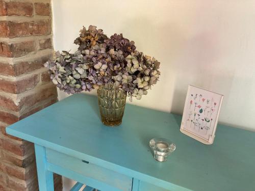 a vase of flowers sitting on a blue table at Na Bukovku in Těchlovice