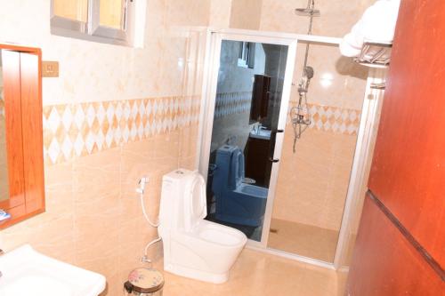 ein Bad mit WC und Dusche in der Unterkunft Consolar International Hotel in Aksum