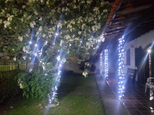 a string of lights on a garden at night at Cantinho da Lagoa in Araruama