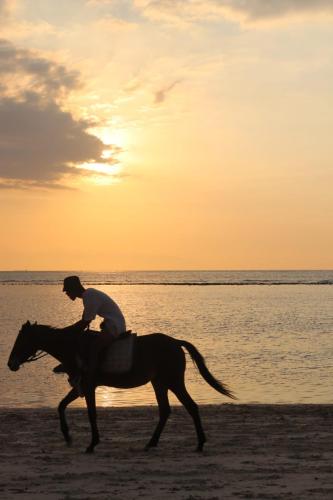 a person riding a horse on the beach at sunset at BALE DATU BUNGALLOW in Gili Trawangan