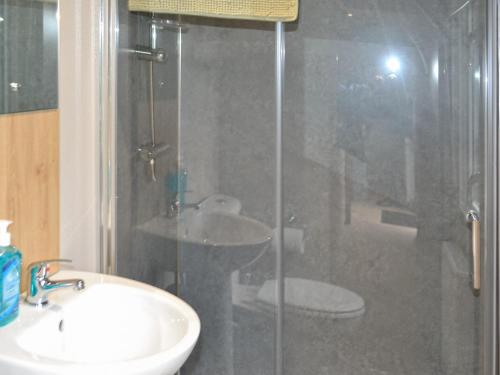 uma casa de banho com uma cabina de duche em vidro com um lavatório e um WC. em The Finch em Dyke
