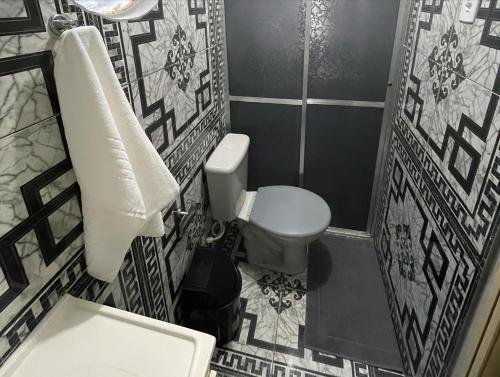 La salle de bains est pourvue de toilettes et d'un lavabo. dans l'établissement Pousada Lavínia, à São Thomé das Letras