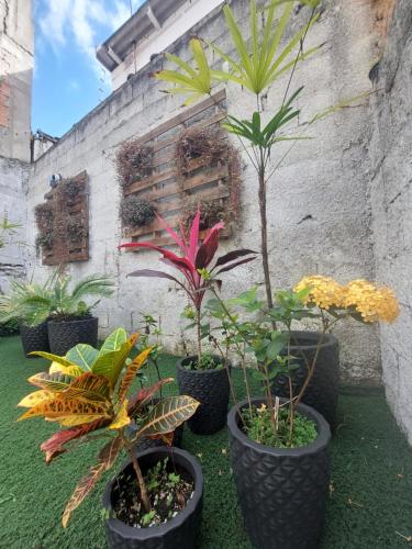 un grupo de plantas en macetas sentadas junto a una pared en Hospedagem Casa Girassol en Praia Grande