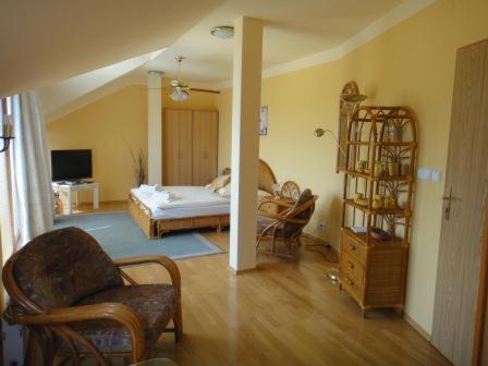 奧斯拉瓦河畔納梅什特的住宿－摩納哥酒店，一间带一张床的客厅和一间带椅子的房间