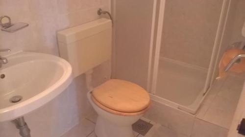 ein Bad mit einem WC, einem Waschbecken und einer Dusche in der Unterkunft Apartments by the sea Biograd na Moru, Biograd - 21597 in Biograd na Moru