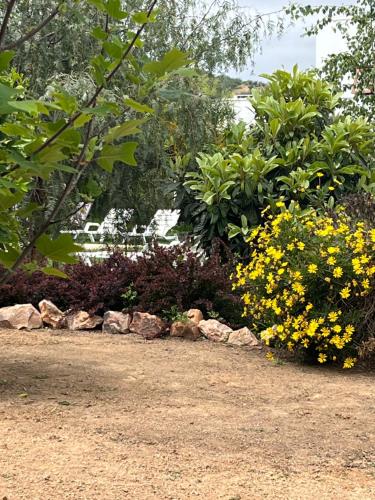 a garden with yellow flowers and trees and rocks at Callihue Lodge in Santa Cruz