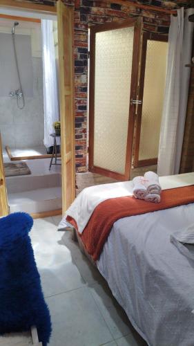een slaapkamer met een bed en een bad en een badkamer bij Dublin in Rocha