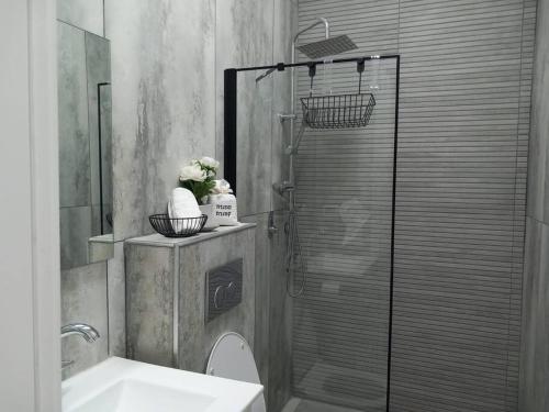 a bathroom with a shower with a toilet and a sink at Luna place in Eilat
