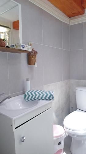 uma casa de banho com um WC branco e um lavatório. em Dublin em Rocha