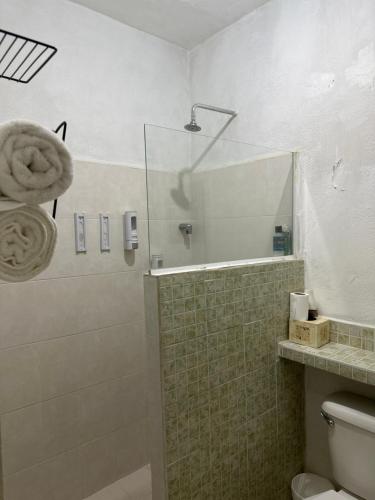 W łazience znajduje się prysznic ze szklanymi drzwiami. w obiekcie Oasis Casa 120 w mieście Santa Anita