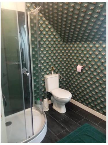 a bathroom with a toilet and a shower at Chambre double in Cherbourg en Cotentin