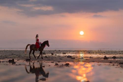 Kardia Resort Gili Trawangan A Pramana Experience في غيلي تراوانغان: امرأة تركب جواد على الشاطئ وقت الغروب