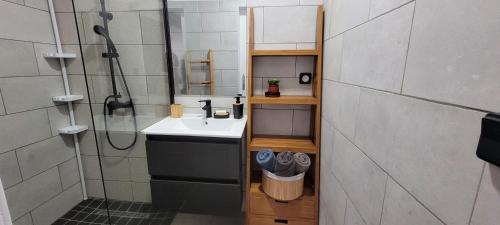 La salle de bains est pourvue d'un lavabo et d'une douche. dans l'établissement MON CHEZ MOI, à Le Tampon