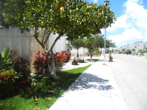 坎昆Bella Casa Familiar的花朵花的街道边的树