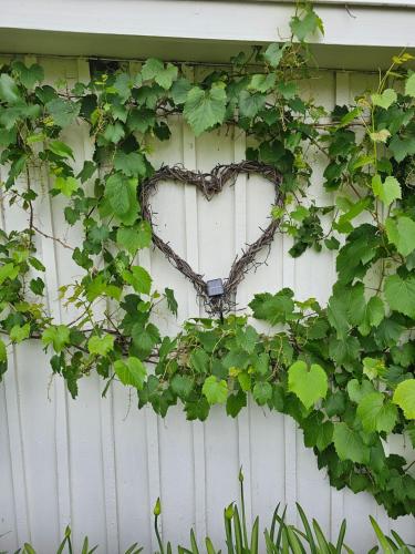 The Cottage – Photos 2