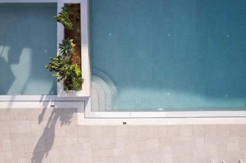 a swimming pool with a potted plant on the side of a building at Aristea Hotel in Rethymno Town