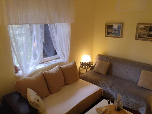 a living room with a couch and a window at Dečiji vinogradi Belgrade, Sopot, Kosmaj in Sopot
