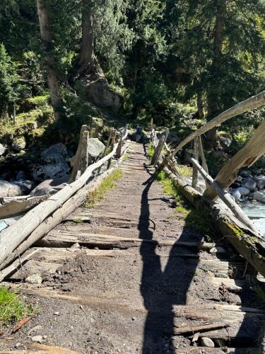 a long shadow of a person walking on a wooden bridge at WildFlower in Tosh