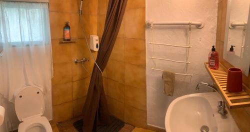 a bathroom with a shower and a toilet and a sink at LE MEDINILLA in Bras-Panon