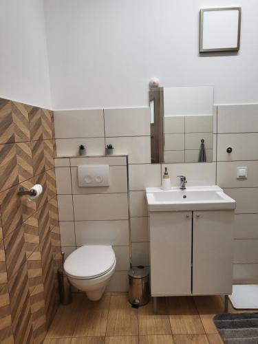 uma casa de banho com um WC e um lavatório em Luksusowy Apartament Sucumin 95mkw 
