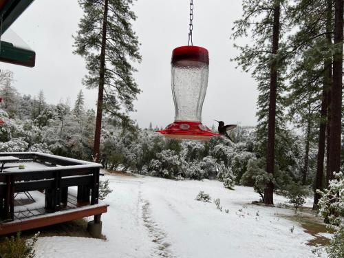 Sierra Trails Retreat – Photos 3