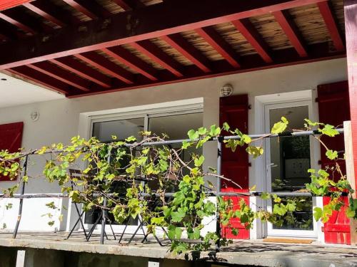 une usine assise à l'avant d'une maison dans l'établissement Lagunen etxea, à Hendaye