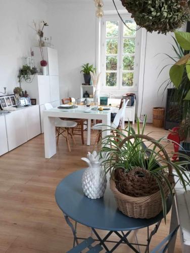 un salon avec une table avec des plantes dessus dans l'établissement La Dolce Vita Camille, à Vals-les-Bains