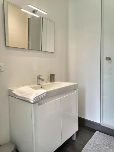 une salle de bain blanche avec un lavabo et un miroir dans l'établissement Le Coté Jardin - Fibre - Clim - Centre-ville, à Albi