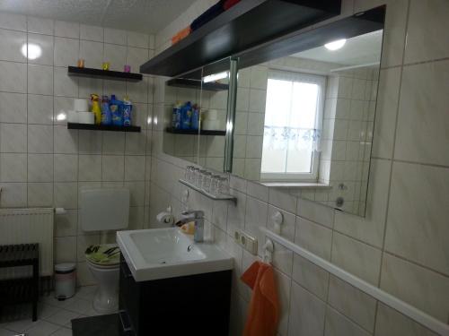 Koupelna v ubytování Apartment Marx