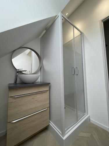 ein Badezimmer mit einem Waschbecken und einem Spiegel auf einer Kommode in der Unterkunft Le Dalhia - Campagne - 6 pers - Rêve au Mans in Noyen-sur-Sarthe