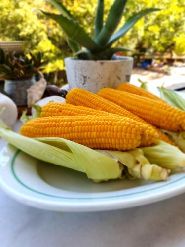 a plate of carrots and celery on a table at Helicon Muses Friendly Mountain B&B Guesthouse in Evangelístria