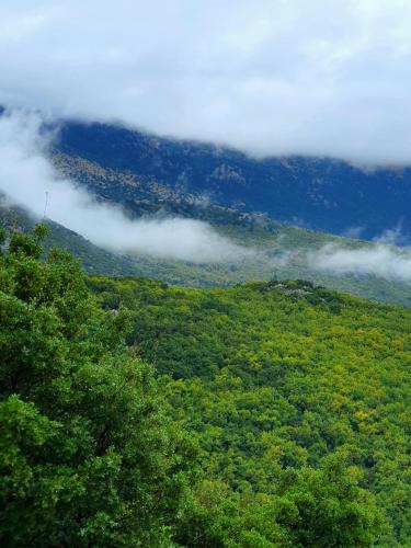 a view of a lush green hillside with clouds at Helicon Muses Friendly Mountain B&B Guesthouse in Evangelístria