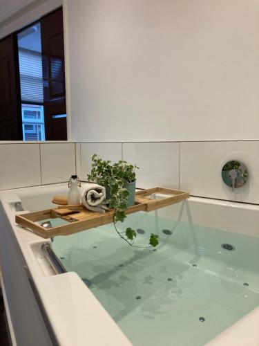 a bath tub filled with water with a plant in it at Pension Montmaertre in Zierikzee