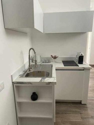 Eine weiße Küche mit Spüle und Arbeitsplatte in der Unterkunft Residenza da Mimi' in Ercolano