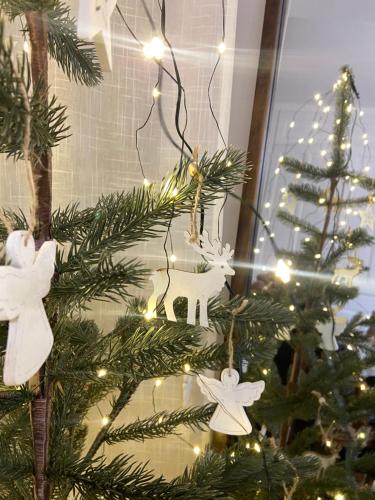 un arbre de Noël avec des lumières et des ornements de Noël dans l'établissement Petit cocon rien que pour vous !, à Dieppe