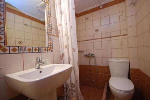 Gallery image of Hotel Parnassos in Arachova