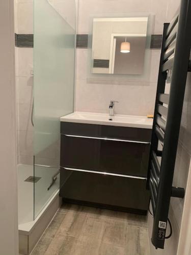 une salle de bain avec un lavabo, un miroir et une douche dans l'établissement STUDIO REFAIT À NEUF BORD DE MER, à Six-Fours-les-Plages