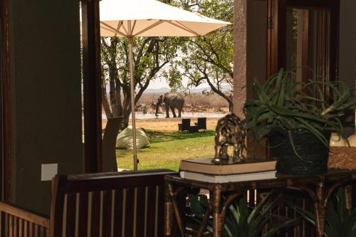 a table with an umbrella and an elephant in the distance at Last Word Madikwe in Madikwe Game Reserve